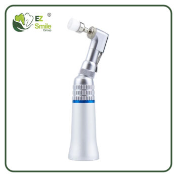 10pcs Dental Polishing Brush Set, Mixed Heads