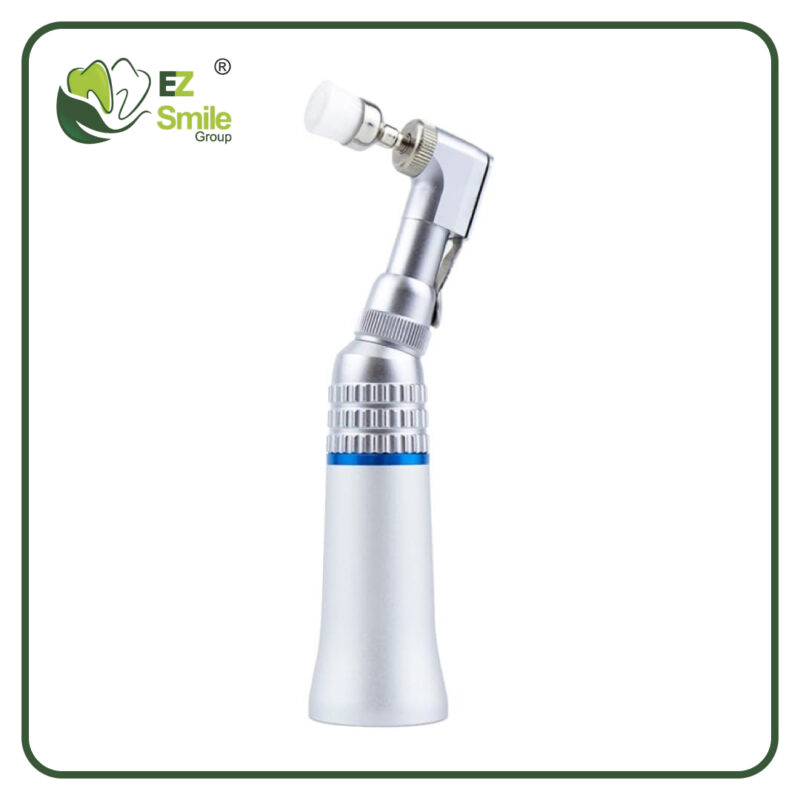 10pcs Dental Polishing Brush Set, Mixed Heads